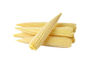 Baby Corn