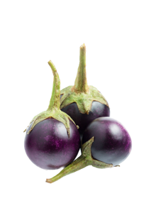 Baby Aubergine