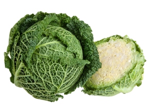 Baby Savoy Cabbage