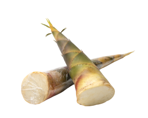 Bamboo Shoots