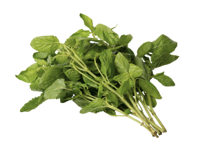 Basil Hot