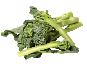 Broccolini