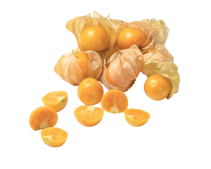 Cape Gooseberry