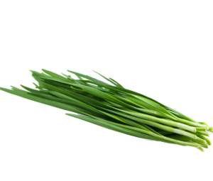 Kai Choi / Chinese Mustard / Rayo