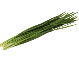 Chinese Chives