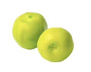Colored Guava Green