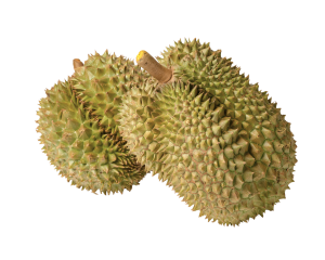 Durian Mon Thong
