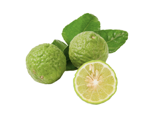 Kaffir Lime