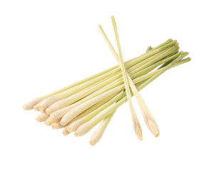Lemongrass