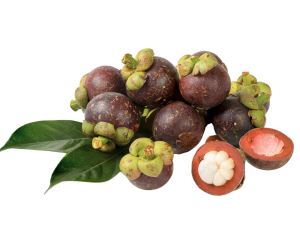Mangosteen