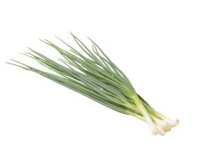 Spring Onion