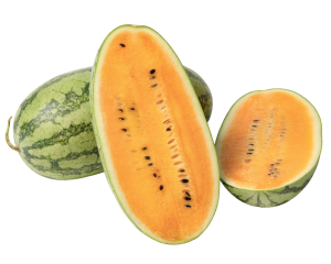 Watermelon Yellow