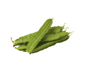 Winged Bean