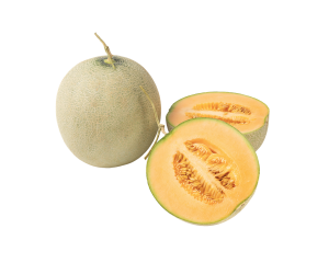 Cantaloupe