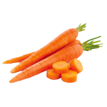 carrot-bag-Background-Removed-360x360-1.png