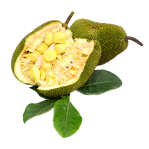 Jackfruit Whole
