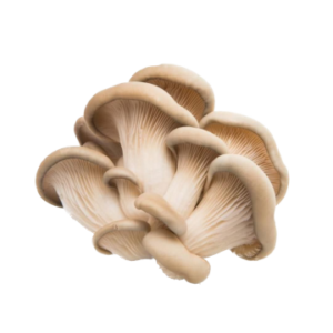 Mushroom ? Oyster Pre Pack