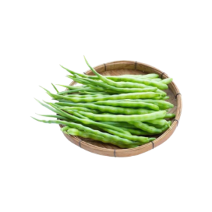 Moongra/White Raddish Pods