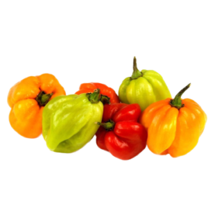 Hot Pepper / Scotch Bonnet ? Mixed