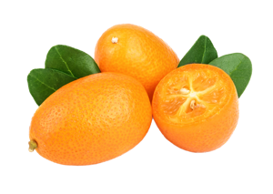 Kumquat