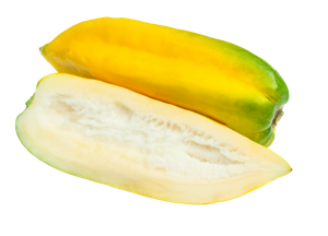 Mountain Papaya / Babaco