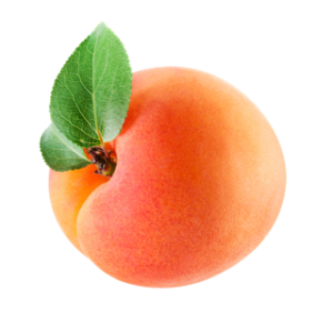 Apricot