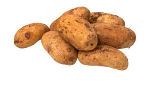 Cyprus Potato