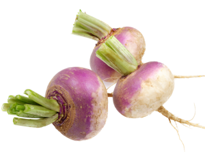 Turnip