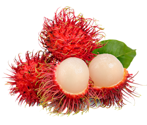 Rambutan