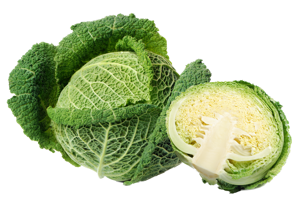 Cabbage Savoy