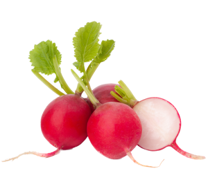 Radish ? Loose