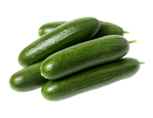 Baby / Lebanese Cucumber