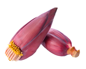 Banana Flower / Blossom