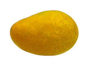 Mango Badami