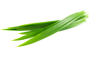 Pandan Leaf 1.8kg