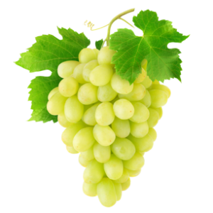 Grapes Sultana