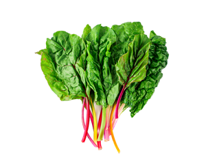 Lahana/Seskoula/Swiss Chard