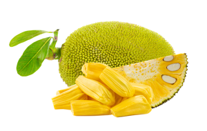 Jackfruit Green/Unripe