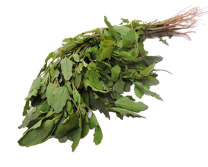 Lamb?s Quarters Bathua Leaves 10 250gm