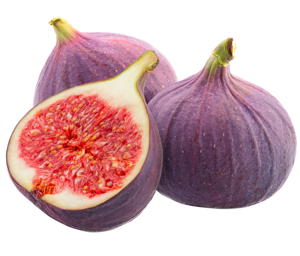 Fig