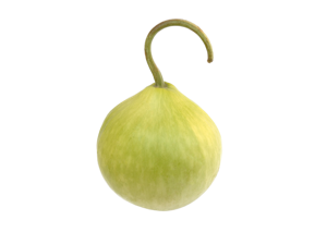 Dudhi Round / Round Gourd