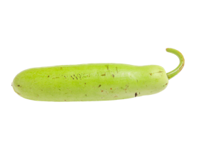 Dudhi Long / Bottle Gourd ? Italy