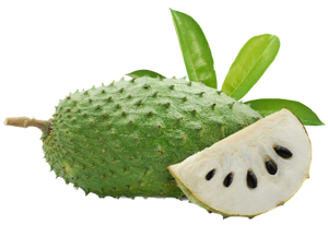 Soursop