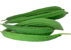 Turia / Ridged Gourd