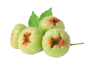 Java Plum / Indian Blackberry / Jamun ? White