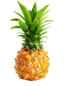 Baby Pineapple