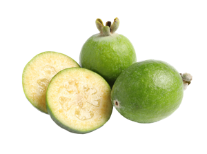Feijoa