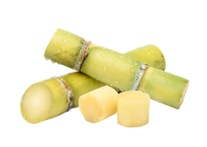 Sugarcane Stick ? Green