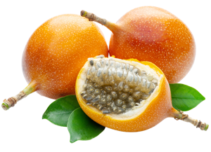 Granadilla