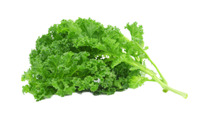 Curly Kale